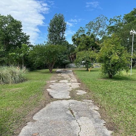 Bare Feet Bungalow -Close To Beach & Dog Friendly Gulfport Exterior foto