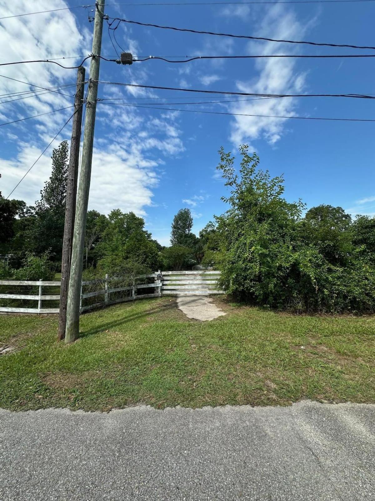 Bare Feet Bungalow -Close To Beach & Dog Friendly Gulfport Exterior foto