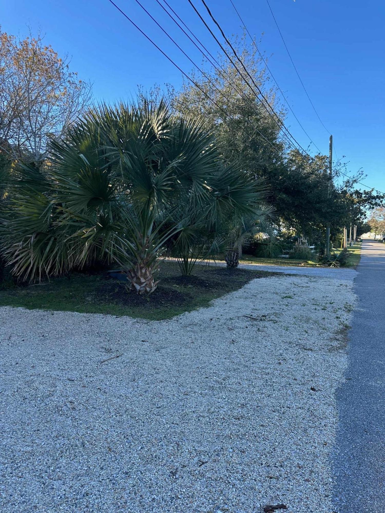 Bare Feet Bungalow -Close To Beach & Dog Friendly Gulfport Exterior foto
